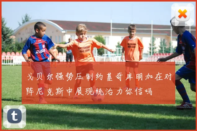 戈贝尔强势压制约基奇库明加在对阵尼克斯中展现统治力你信吗