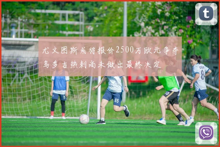 尤文图斯或将报价2500万欧元争夺乌多吉热刺尚未做出最终决定