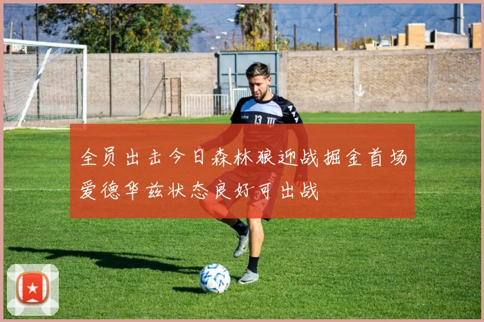 全员出击今日森林狼迎战掘金首场爱德华兹状态良好可出战