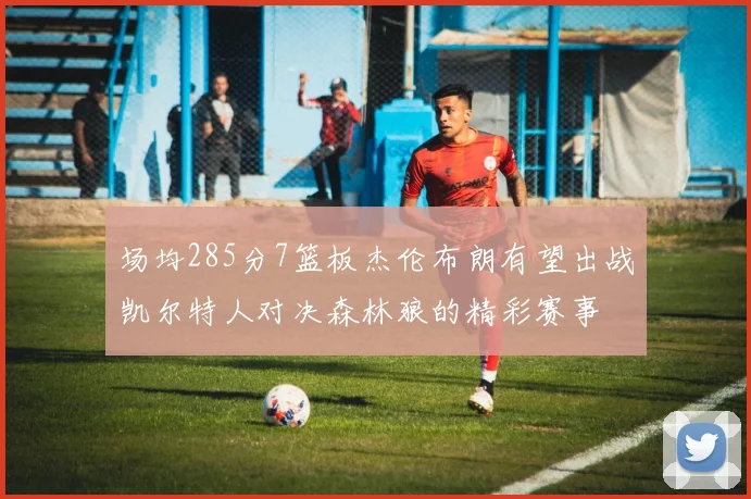 场均285分7篮板杰伦布朗有望出战凯尔特人对决森林狼的精彩赛事