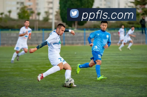 开云体育，kaiyun登录入口，kaiyun开云，开云体育股份有限公司APP 封面图